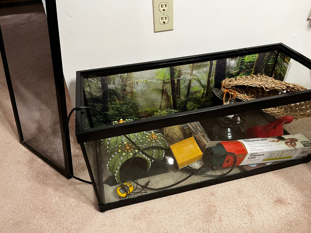 Leopard Gecko Tank & Supplies in Other in London - Image 2