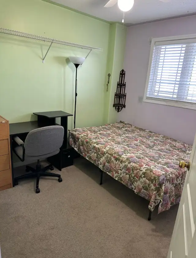 Private Room (male) in Room Rentals & Roommates in Peterborough - Image 5