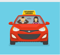 Driving Lessons-Brush up lessons