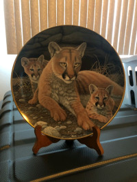 Collector plate