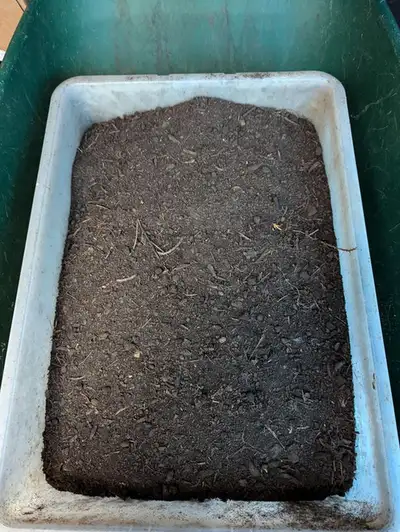Organic soil produced from farm compost and rotated by the chickens . a 5 gallon pail full
