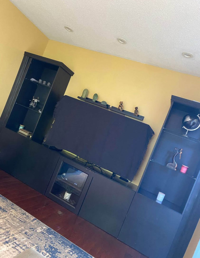 Black Entertainment Wall Unit with Shelves & Storage in Bookcases & Shelving Units in Mississauga / Peel Region