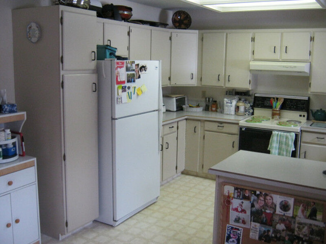 KITCHEN CABINETS PAINTED in Cabinets & Countertops in Vernon