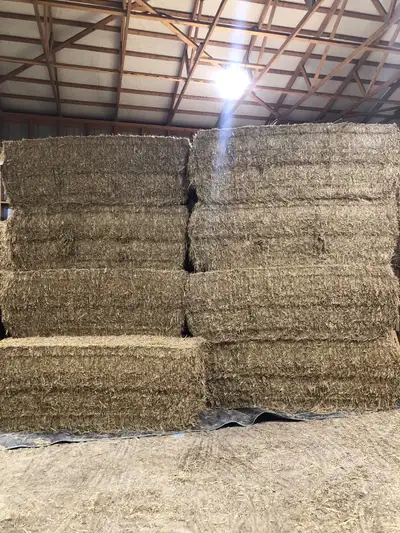 3x3x8ft straw bales Wheat straw baled dry no rain $55 each obo Can load In shed now