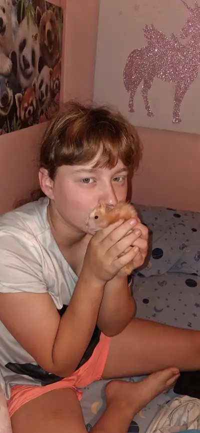 Bébé hamster syrien avec de longs poils brillants!!!, View more