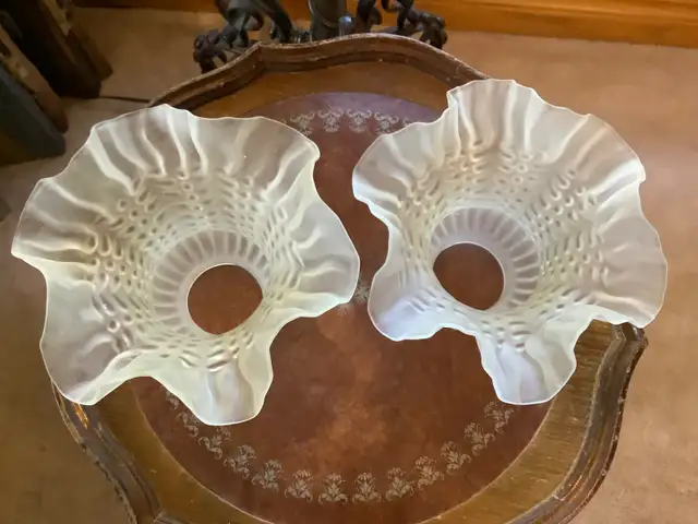 Two Vintage Frosted Petticoat Glass Lamp Shades in Indoor Lighting & Fans in Belleville - Image 6