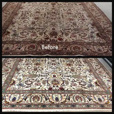 Fresh House Carpet,Rugs,Upholstery,Sofa_Cleaning, View more