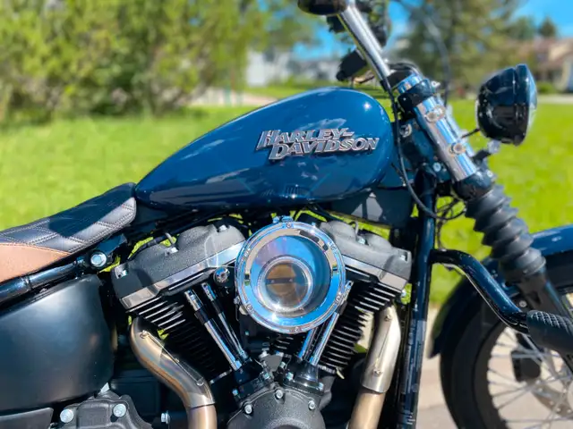 Harley Davidson Street Bob in Street, Cruisers & Choppers in Calgary - Image 4