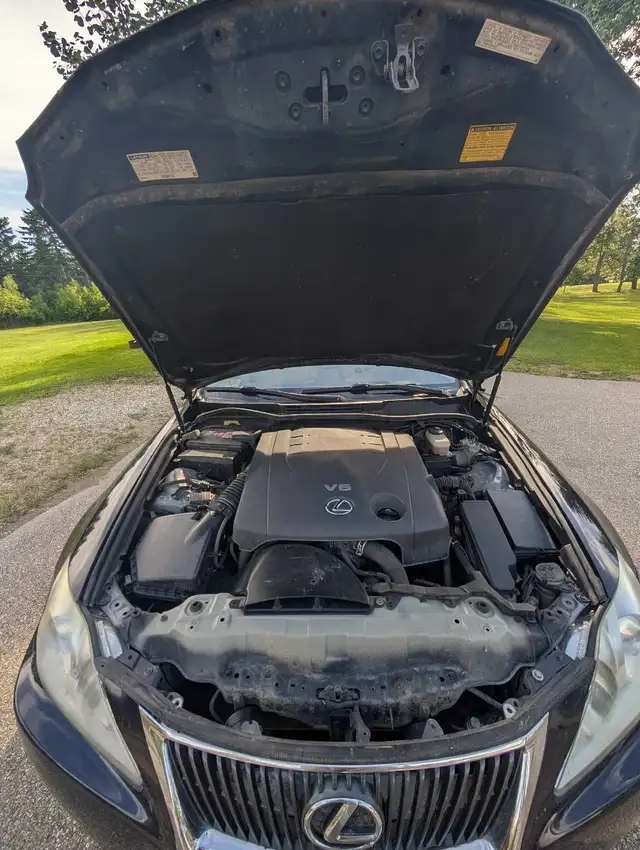 2010 Lexus IS 250540714069048043529