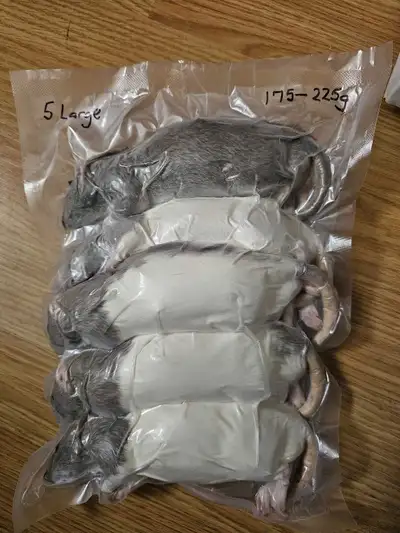 Large frozen rats 5 RATS, View more