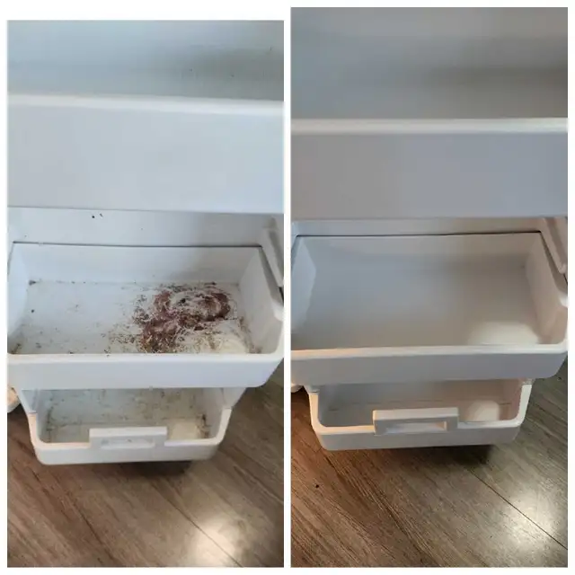 ✨ Professional Cleaning Services in Winnipeg ✨ in Cleaners & Cleaning in Winnipeg - Image 4