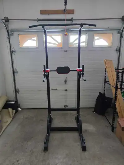 Adjustable pull-up and dip station. Removing the rear adjustment bolts allows it to collapse or incr...