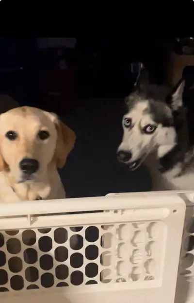 Ned’s more space and good environment , View more