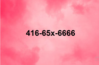 Rare Clean Memorable Easy 416 Phone Numbers SALE