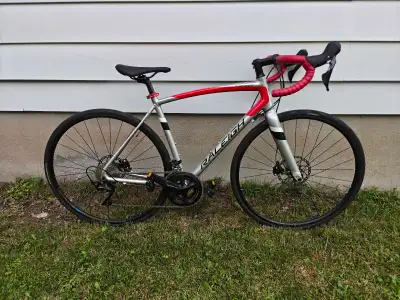 Raleigh Merit 2 - M or 54CM Frame, View more