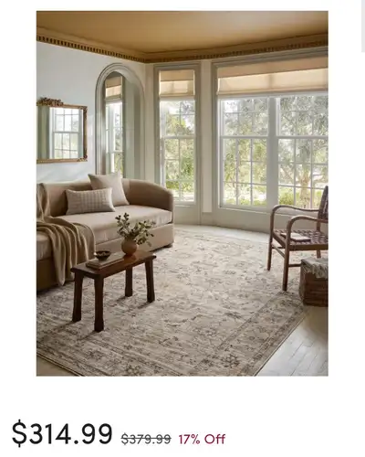 BRAND NEW AREA RUG, View more