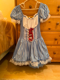 Halloween Costume - Dorothy from Wizard of Oz