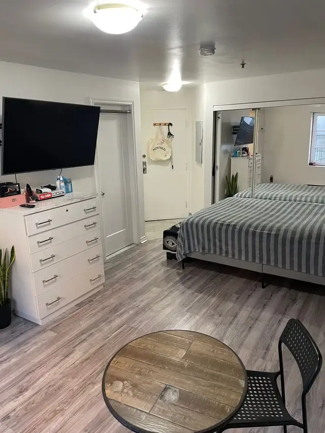 2 ½ Renovated Furnished Metro Papineau Montreal Apartment