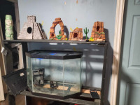 Fish tank and decore and pet supplies