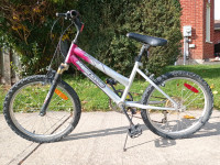 Supercycle Impulse 5-Speed Youth Mountain Bike - 20in