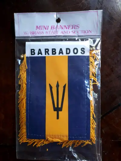 Double sided flag with suction cup and string to hang on rear view mirror. Iron on patches $4. 2 x 3...