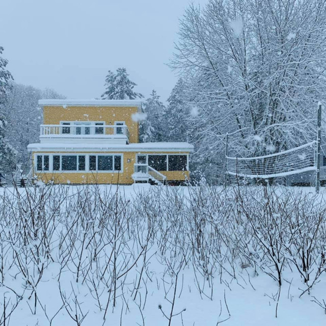 Le Chalet Jaune sur la Rouge CITQ#284196 dans Locations temporaires  à Laurentides