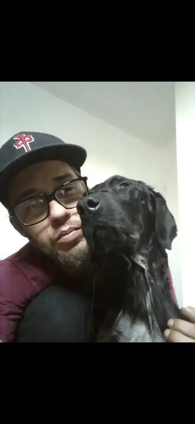 Looking for our room urgent, my service dog is dying