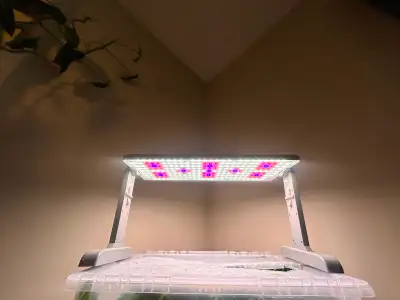 Grow light and seedling mat, View more