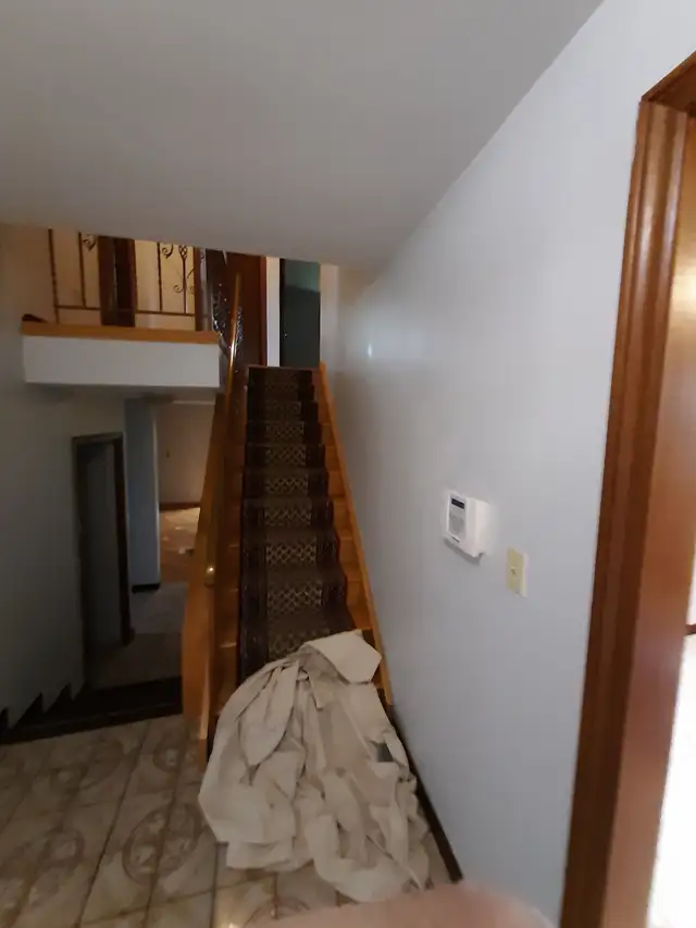 painter/handyman available 64877472334465122