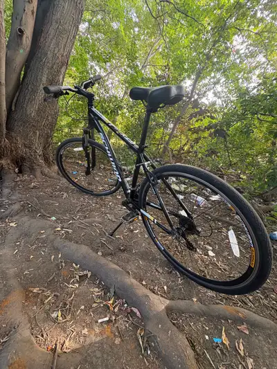 Schwinn Hybrid Bike, View more