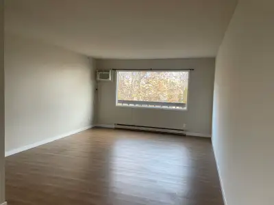 Large 2-Bedroom For Rent Immediately or July 1... Pet friendly building for responsible tenants... R...