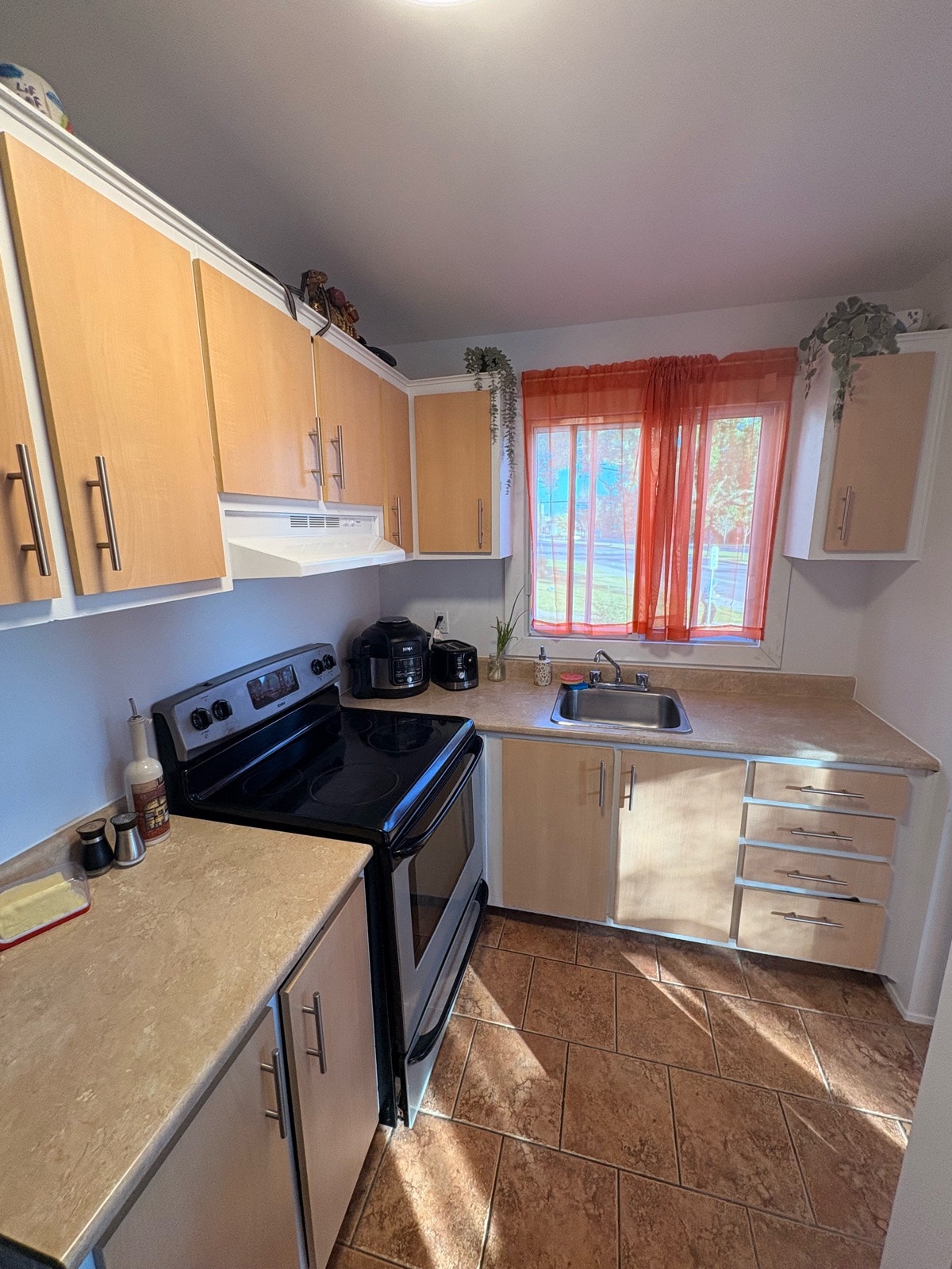 1215 Boul Roland-Therrien — photo 3