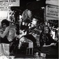 Metallica - Live in Donington 87 vinyl