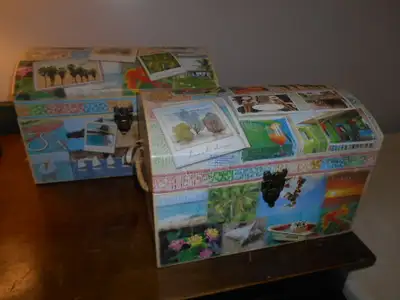 Set of Two Kirshner Collection Nesting Storage Display Boxes, View more