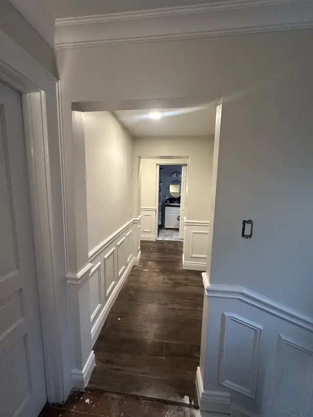 Iris Finishing painting &reno62863218167811121