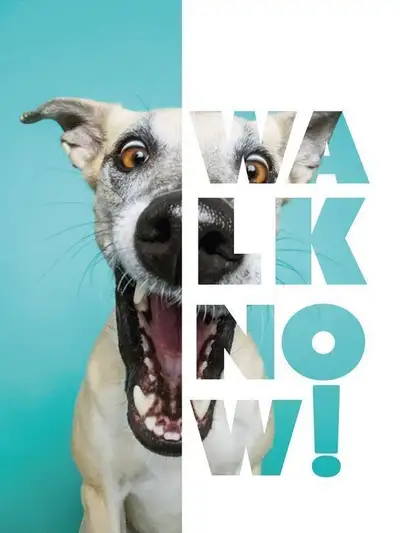 Pet Care Services, View more