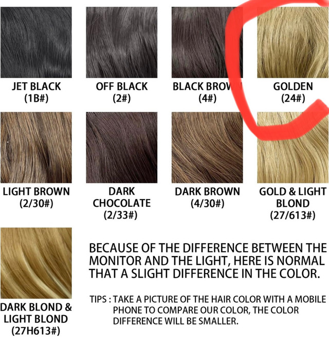  New Golden Ponytail Extension  in Other in Markham / York Region - Image 2