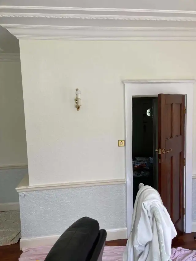 PROFESSIONAL PLASTERER 593256049374013447