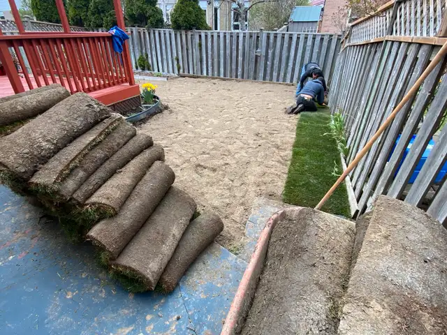 ️SOD⚒️62865712204803124