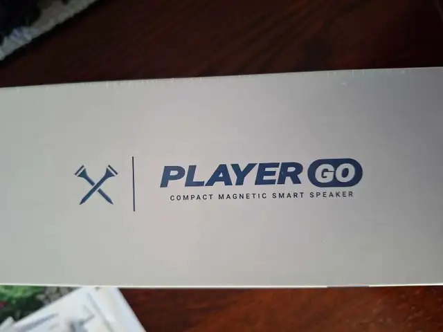 Blue tees player go smart speaker 