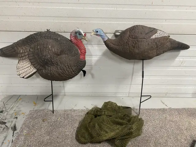 Turkey decoys  in Fishing, Camping & Outdoors in Belleville - Image 3