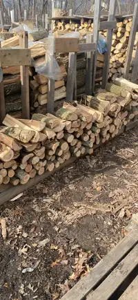 Campfire wood 