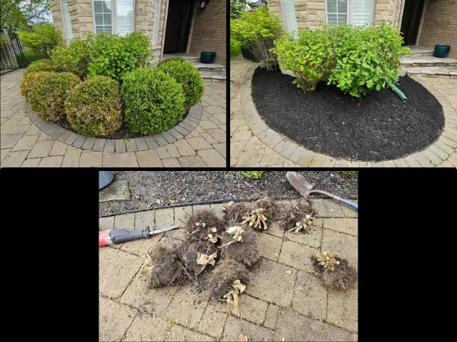 Reliable & Affordable Organic Flower Bed & Garden Services62863226976387123