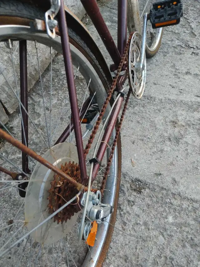 Old School Vintage Bicycle in Cruiser, Commuter & Hybrid in Kawartha Lakes - Image 5