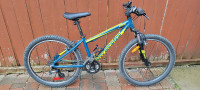 Excellent Youth Kids Rocky Mountain Edge 24 mtb bike