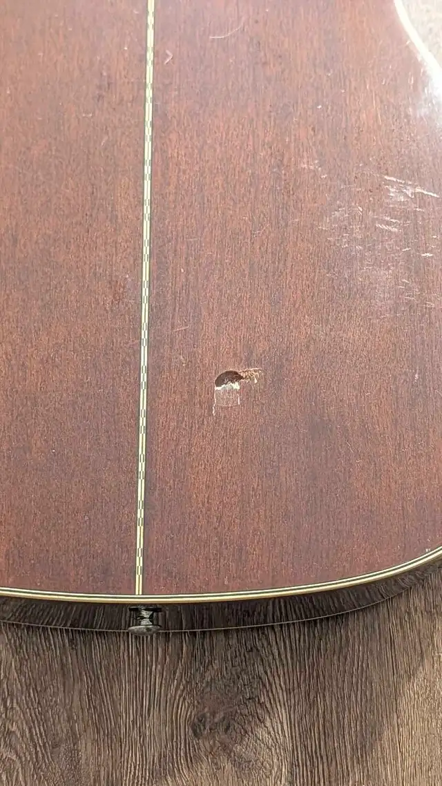 Yamaha Acoustic Guitar FG335L II - LEFT HANDED in Guitars in Winnipeg - Image 5