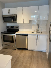 Newly Renovated 1 Bedroom Apartment for Rent - Oct 1st