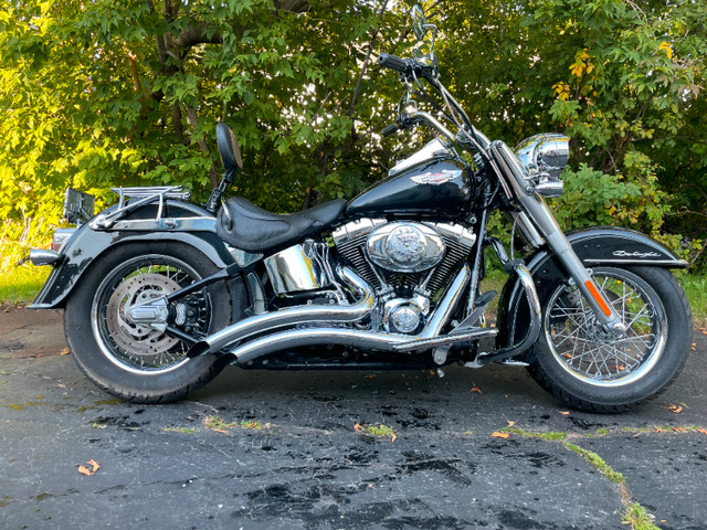 Harley Davidson Softail Deluxe 2007 Lady Driven Bobber/Touring in Street, Cruisers & Choppers in Moncton