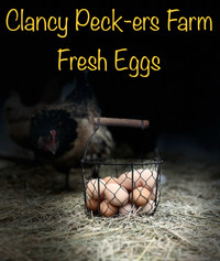 Farm Fresh Eggs for sale