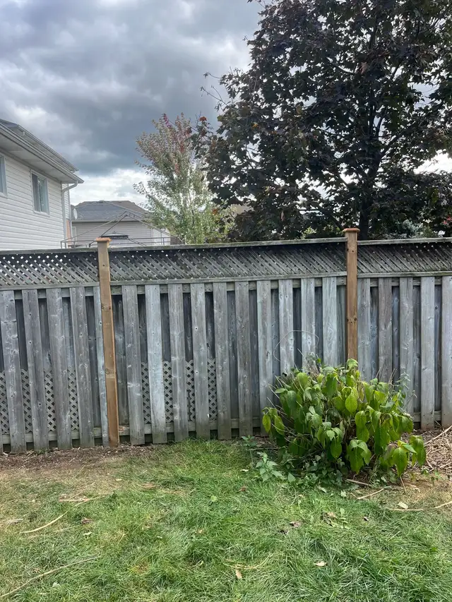 FENCE REPAIR SPECIALIST 647-308-585862865711130371122